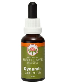 Dynamis Essence