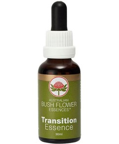 Transition Essence