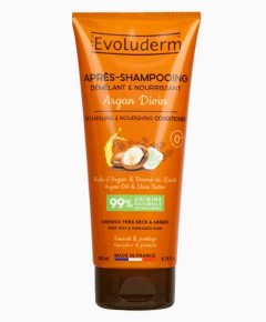 Evoluderm Detangling And Nourishing Argan Divin Conditioner