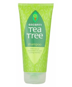 Tea Tree Shampoo