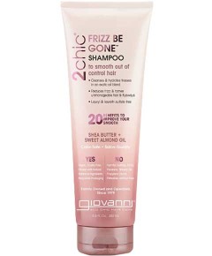 2 Chic Frizz Be Gone Shampoo