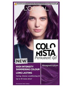 Colorista Permanent Gel Magneticplum