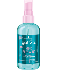 Got2b Mind Blowing Xpress Dry Styling Spray