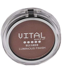 Luminous Finish Blusher 06 Brick Red