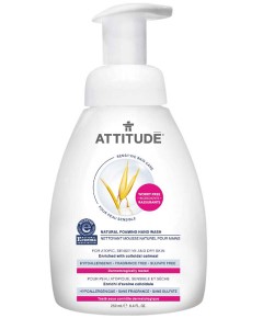 Natural Foaming Hand Wash